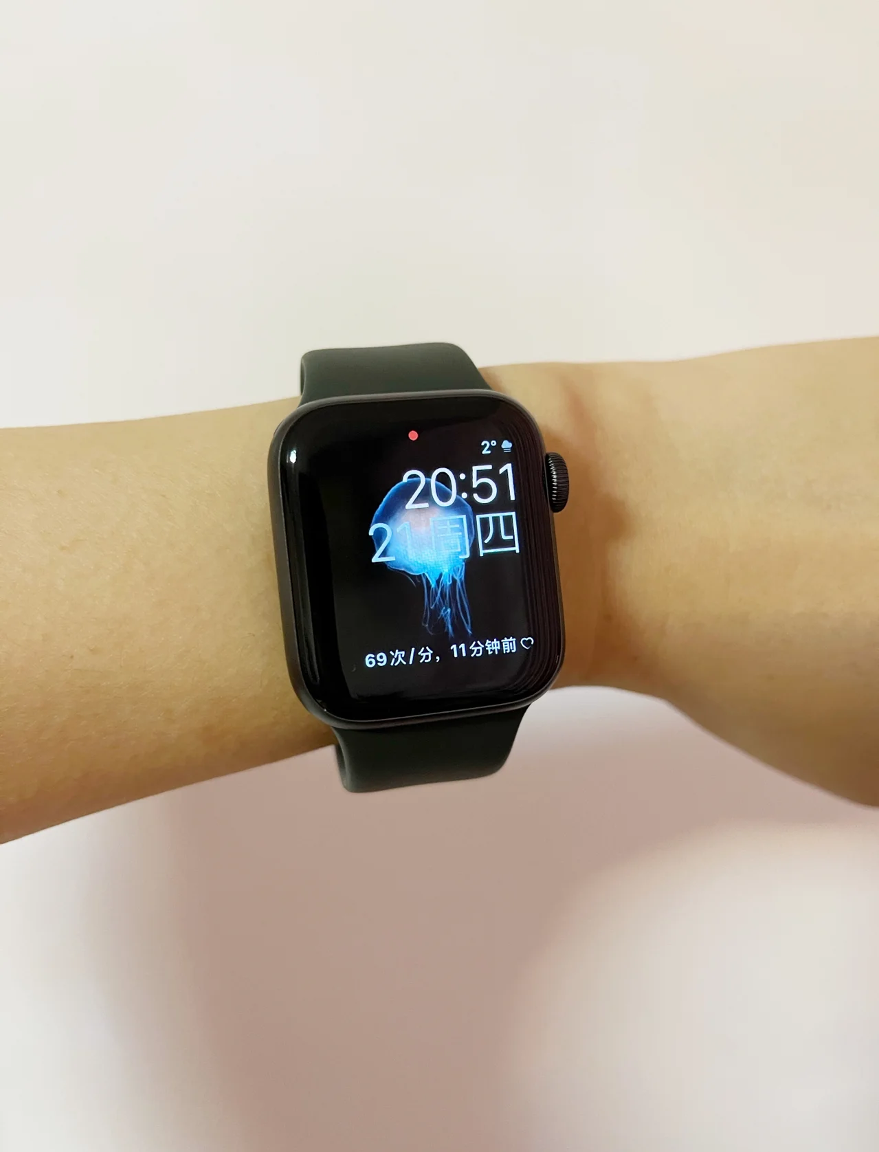 苹果手表se蜂窝版不蜂窝版(苹果手表se蜂窝和不是蜂窝版有什么区别)-第18张图片-有道翻译官网