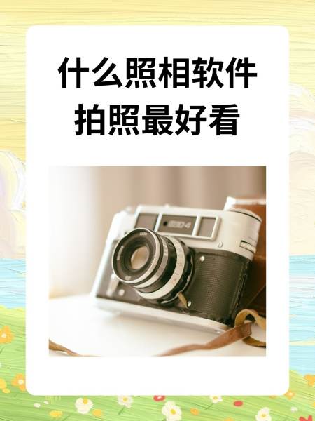 ins拍照软件免费版苹果版(instagram拍照软件下载)-第7张图片-有道翻译官网