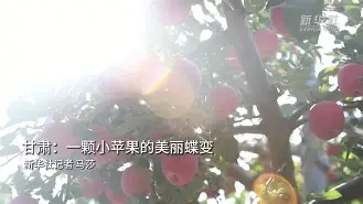 韩版小苹果舞(小苹果歌曲韩版)-第14张图片-有道翻译官网